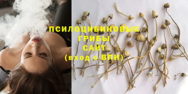 спиды Белоозёрский