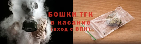 ECSTASY Белокуриха