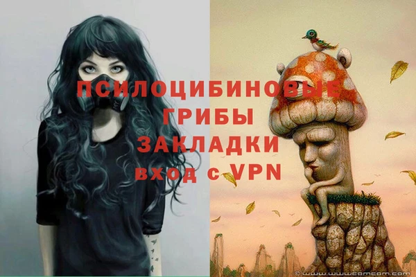 винт Беломорск