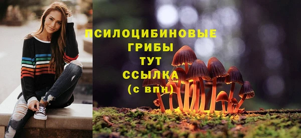 ECSTASY Белокуриха
