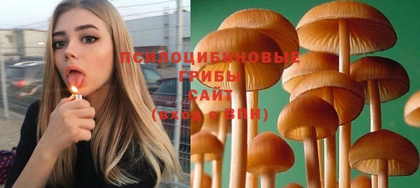 спиды Белоозёрский