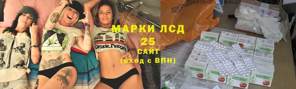 ECSTASY Белокуриха