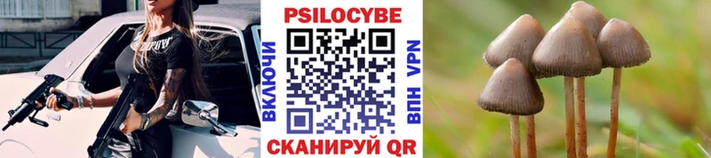 Галлюциногенные грибы прущие грибы Сланцы