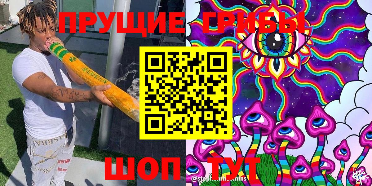 Псилоцибиновые грибы Psilocybine cubensis Сланцы