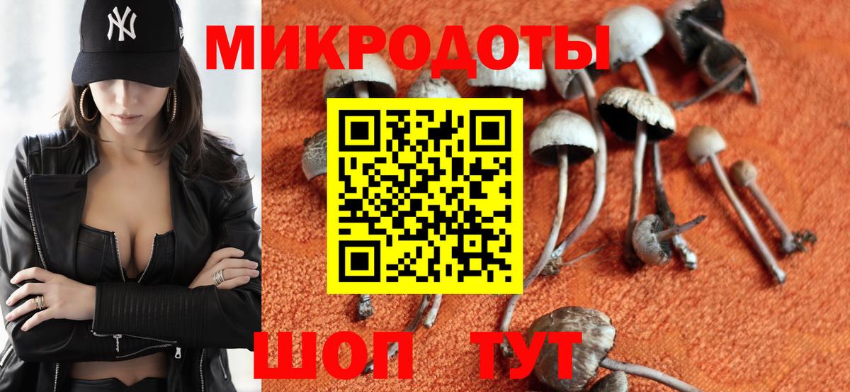 Сланцы  Галлюциногенные грибы MAGIC MUSHROOMS  Вход с VPN 