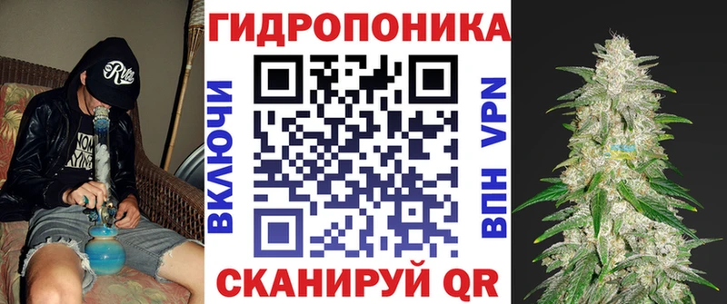 Бошки марихуана план  Сланцы 